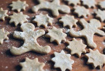 Gingerbread Christmas cookie