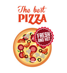 pizza icon over white background. fast food concept. colorful design. vector illustration