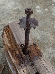 Rusty bolt