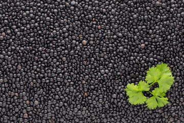 Food and cookery background of healthy dried  black lentils.