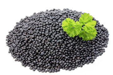 Lentin beluga. Black Lentins.Isolated on the white background.