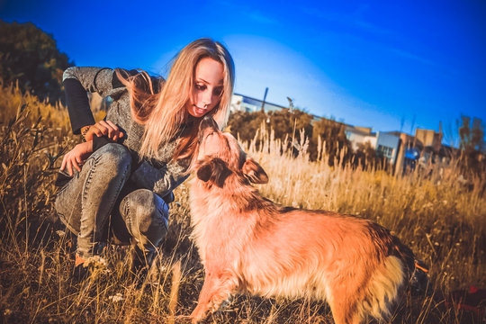 Dog friendly and funny girl in the box.