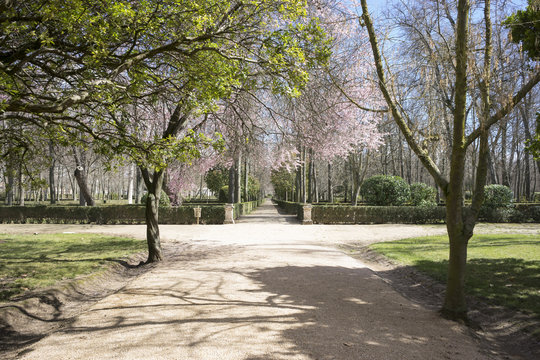 Royal gardens of the palace of aranjuez in madrid, spain