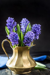 First spring flower - blue hyacinth in brass vase