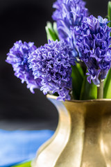 First spring flower - blue hyacinth in brass vase