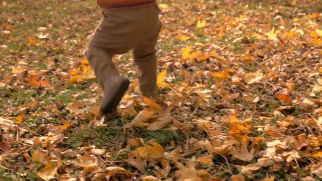 Close-up tracking shot of baby walking in the park in beautiful fall.
