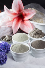 Ancient minerals - luxury face and body spa treatment, clay powder mask