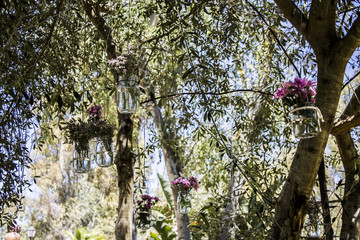 Decoración Celebraciones
