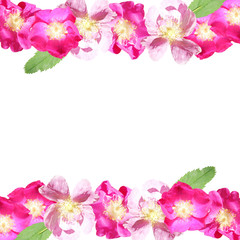 Fototapeta na wymiar Beautiful floral background with dogrose 