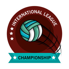 Fototapeta premium volleyball sport emblem icon vector illustration design