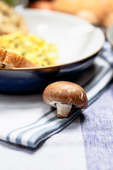 Champignon Braun - Close up