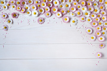 Light wood background with daisies