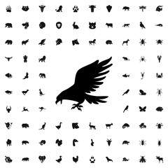 eagle icon illustration