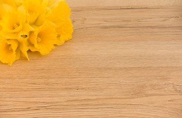Daffodils on a brown wooden background with lots of copy space. 