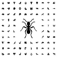 ant icon illustration