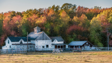 Maryland stable with old rustic barn during Autumn