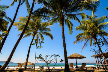 Beachfront with palm trees on Ngapali Beach, Myanmar