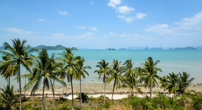 Beachfront with palm trees, Ko Yao Yai, Thailand