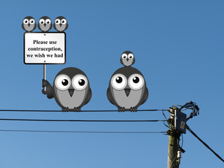 Comical family of birds with use contraception message 