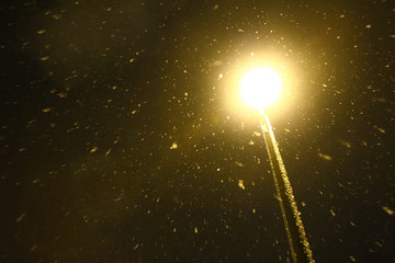 Street lamp in blizzard