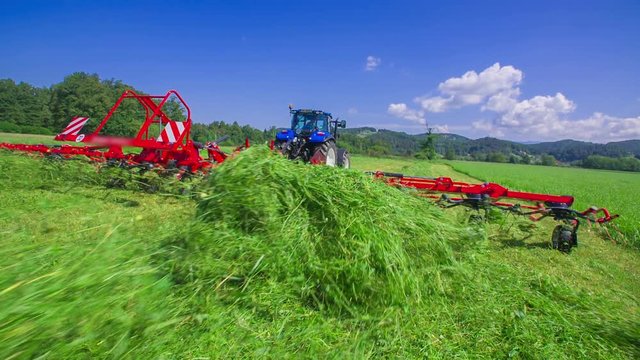 Beautiful green hay is flying everywhere around. The day is sunny and wonderful. Farmers are preparing hay.
