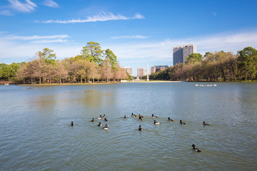 Houston Hermann park conservancy Mcgovern lake in winter Texas