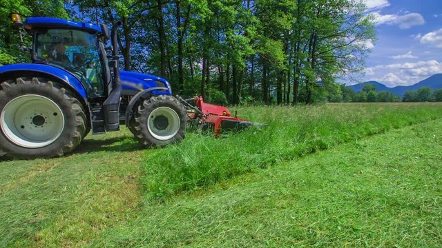 A blue tractor is standing in front of the grass field and it is about to start cutting it with the machinery.
