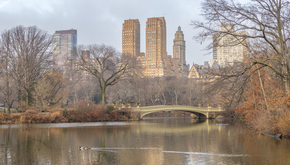 Obraz premium Bow bridge Central Park