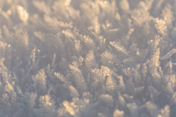 Snow crystals in big close up