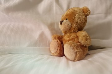 Bear is sitting down in bed.