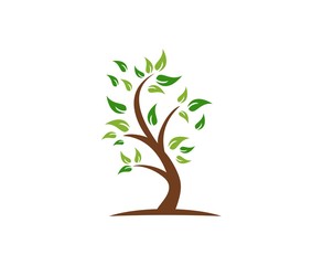 Obraz premium Tree logo