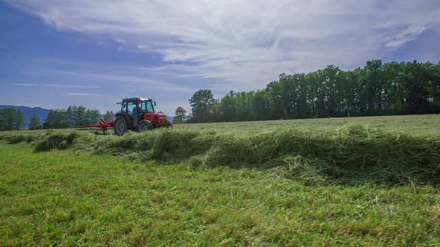 A man is working hard and preparing hay on a big field on a hot yet beautiful summer day.
