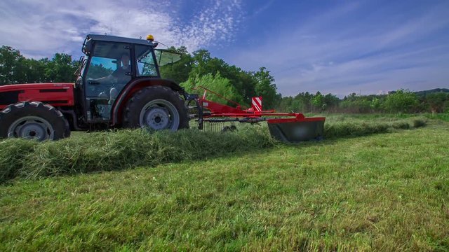 A tractor is driving between two lines of hay. He is organizing hay with the help of rotary rakes machinery.
