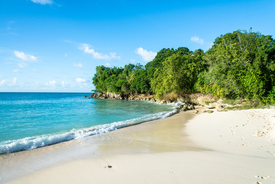 tropical beach with turquoise water on Marie-Galante