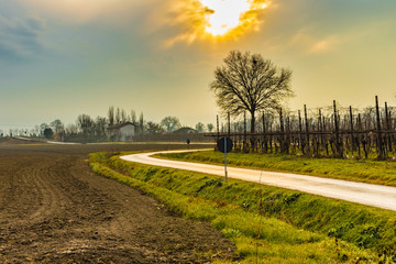 winding road in the Italian countryside
