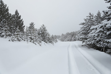 Winter wonderland in Spain