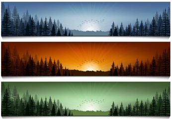 Fototapeta premium Set of forest landscape scenes banners