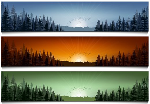 Set of forest landscape scenes banners
