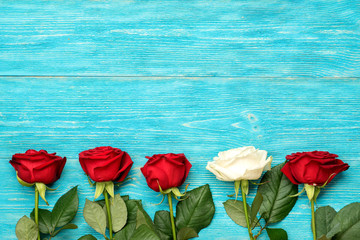 Fototapeta na wymiar red and white roses in row