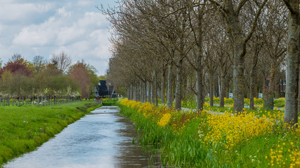 Trees and canal natural beautiful scenery background in vintage style picture.