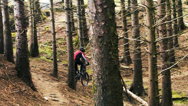 Mountain biker riding bicycle in forest on a sunny day 4k