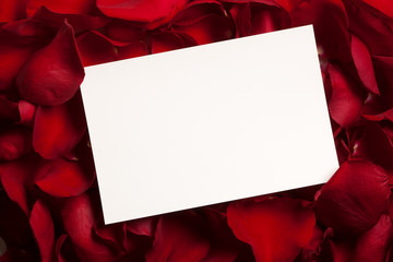 Blank card sitting on bed of rose petals