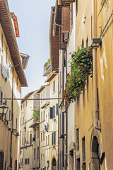 Fototapeta na wymiar Street of Florence, Italy
