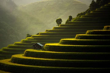 Foto op Plexiglas De Rijstvelden Op Terrassen Van Mu Cang Chai, In Noord-Vietnam. © TANEE