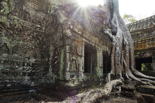 Tomb Raider inspiration Ta Prohm temple in Cambodia 