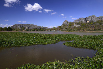 See mit Schwimmblattpflanzen im Nationalpark Ankarana auf Madagaskar