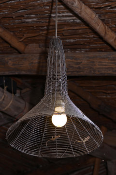 Asiatischer Hausgecko (Hemidactylus frenatus) klettert an einer Lampe