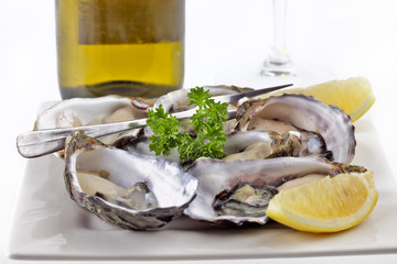 Oysters on a plate ready to eat with wine