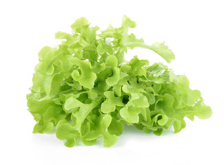 fresh green lettuce leaves isolated on white