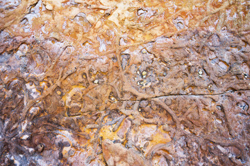 The pattern on the rock available for adding text.